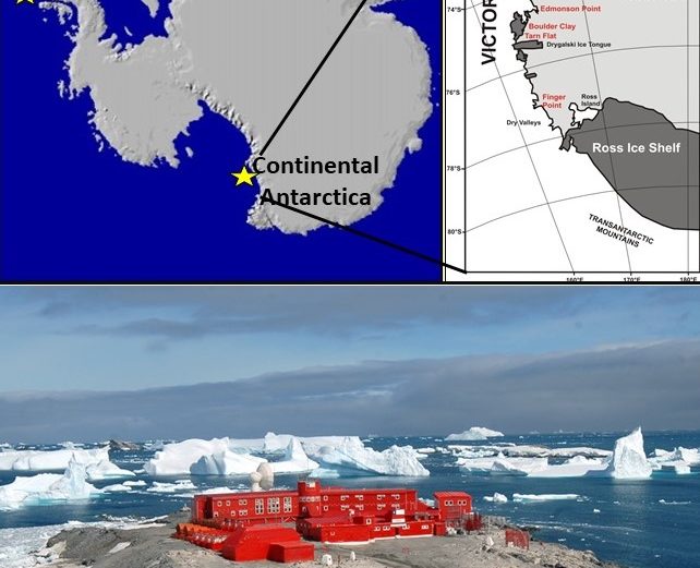 L'Insubria apre una sede in Antartide