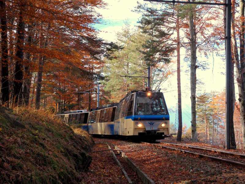 Treno -del-foliage